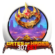 307bet App Interface