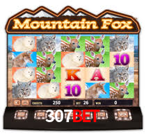 307bet